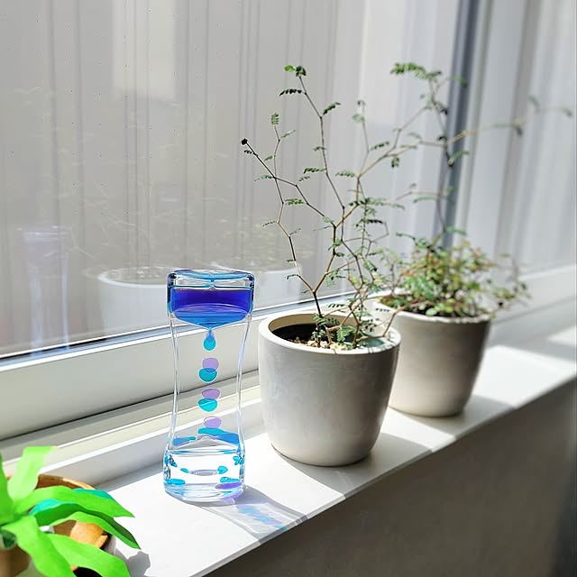My Desk,プチプラインテリア,オイルモーション,オイルタイマー,フライングタイガー,癒やしのアイテム,おうち時間を楽しむ,こどもと暮らす。,ソフォラ・リトルベイビー,観葉植物 pecoの部屋