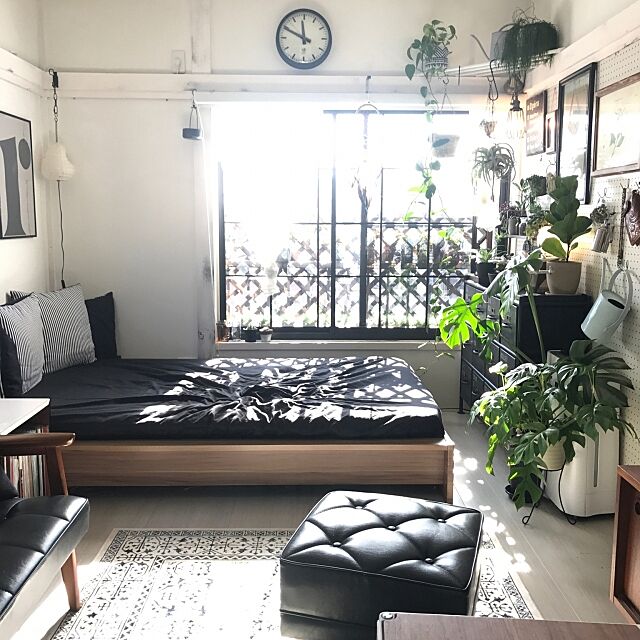 Bedroom,ブルックリンスタイル,6畳,元和室,窓際のグリーン,観葉植物 tomotomoの部屋