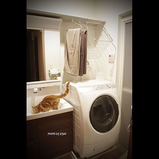 Bathroom,ねこ部,シンプル,ワイヤーバスケット,洗濯機周り,無印良品,狭い脱衣所,賃貸 kyaoの部屋