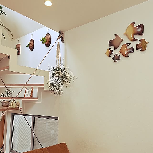 Lounge,北欧雑貨,ビカクシダ,リサラーソン シロクマ,リプサリス,バーズワーズ ウォールバード haruの部屋