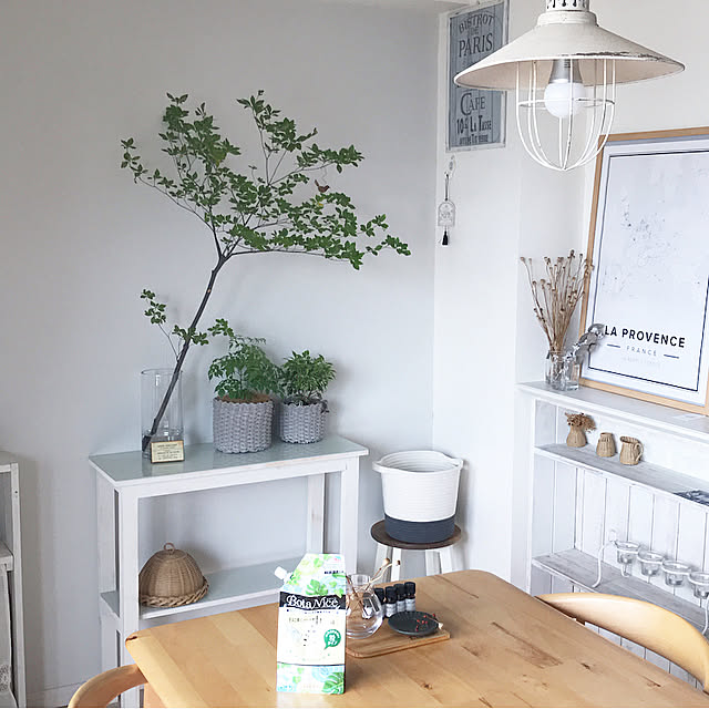 BotaNice,植物のある暮らし,多肉植物,ガーデニング,観葉植物 tomoの部屋