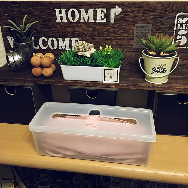 キャンドゥ,ダイソー,駆け込み投稿,マスク置き場,マスク収納,プルアウトボックス,セリア,マスク置き場所,RCの皆さまに感謝♡,見て頂きありがとうございます⑅︎◡̈︎*,100均大好き,Lounge tomobaの部屋