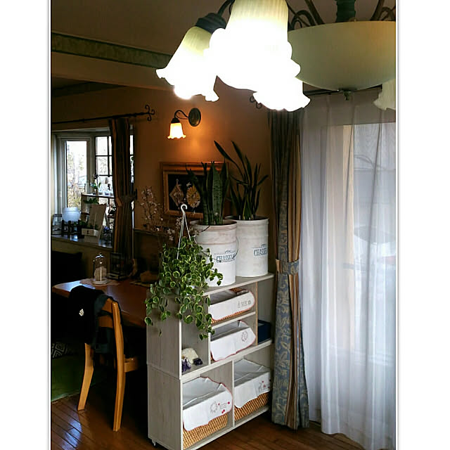 Lounge,ニトリ,Nクリック,ニトリ2019Nクリックモニター,簡～単٩(●˙▽˙●)۶,観葉植物,モニター当選,シャビーシック,消しゴムはんこ,キッチンクロス,無印良品 kikusukeの部屋
