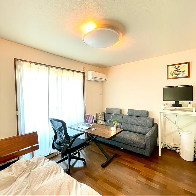 Overview,観葉植物,ニトリ,一人暮らし,照明,ソファ Narikiの部屋