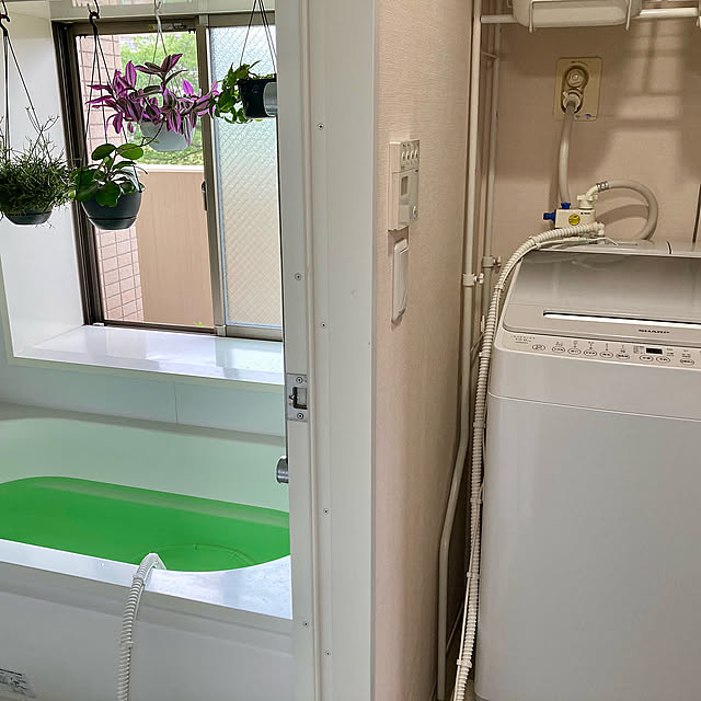 Bathroom,ハンギンググリーン,マンション,節約,マンション暮らし,観葉植物のある暮らし,ハンギングバスケット,春,観葉植物 marukoの部屋