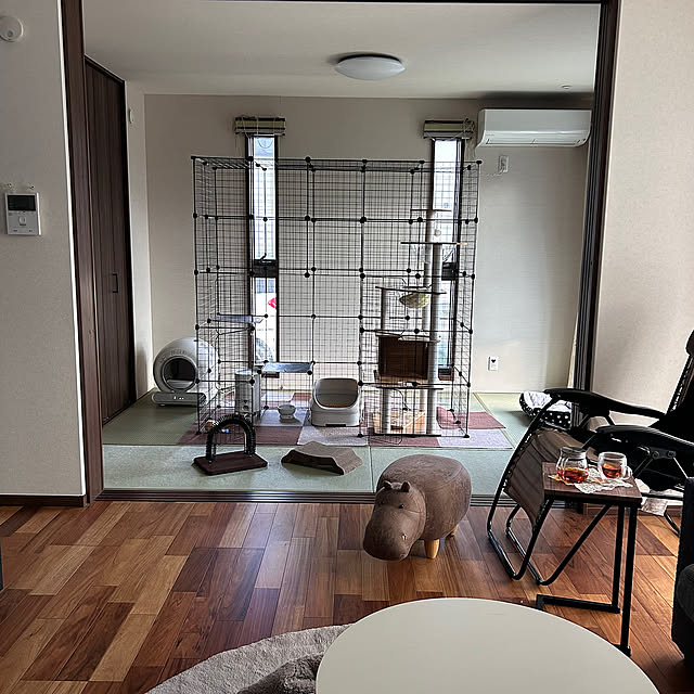 Overview,こたつ,こたつのある部屋,今年もよろしくお願いします♡,和室は猫部屋,和室,きれいを保つ,暮らしやすい家づくり,猫のいる日常,猫のいる暮らし,猫と暮らす,猫,2025年 yunyumの部屋