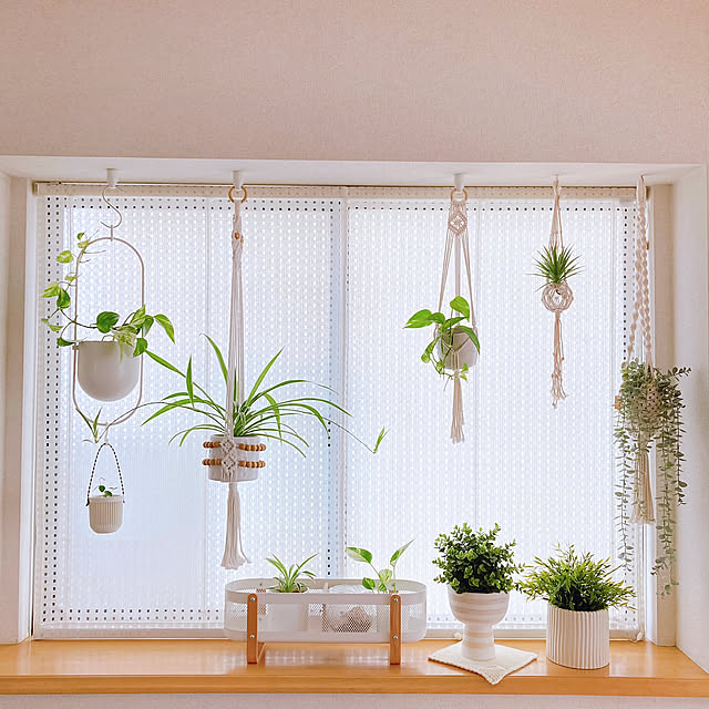On Walls,フェイクグリーン,観葉植物,ポトス水挿し,オリヅルラン,IKEA 雑貨,ハンギング,ハンギンググリーン,出窓のグリーン,出窓ディスプレイ,出窓,リーサトルプ,マクラメプラントハンガー,マクラメ sunabaの部屋