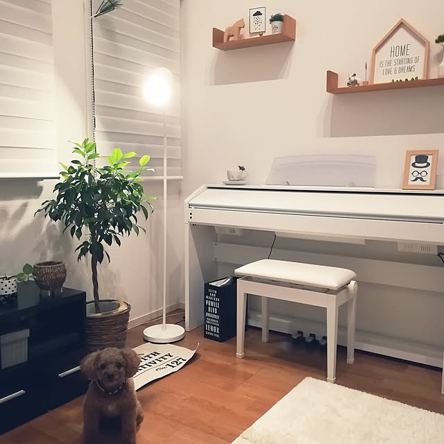 Lounge,ニトリのフロアランプ,犬と暮らす,ロールスクリーン,ニトリのウォールシェルフ,ベンジャミン,トイプードル,ニトリのフレーム,100均,電子ピアノ Tarutoの部屋