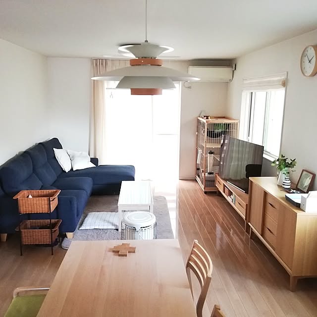 Overview,お部屋を広く見せる工夫,ねこのいる日常,建売住宅,ねこと暮らす,クリスマスローズ,ケーラー オマジオ,猫ケージ,unicoチェスト,unico TVボード,縦長リビング,フジエテキスタイルのカーテン pinokoの部屋