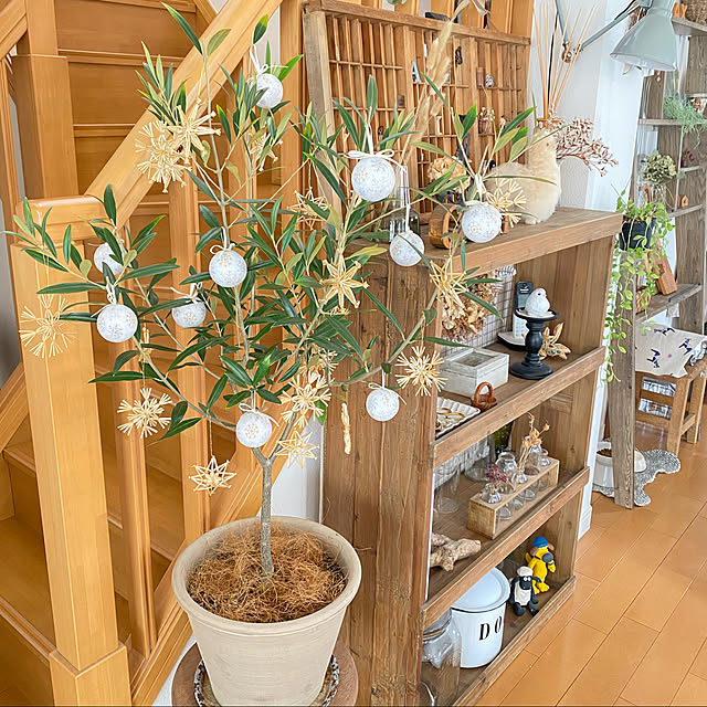 オリーブの鉢植え,オリーブの木,クリスマス,クリスマスディスプレイ,NO GREEN NO LIFE,植物のある暮らし,My Shelf UNI.mamaの部屋