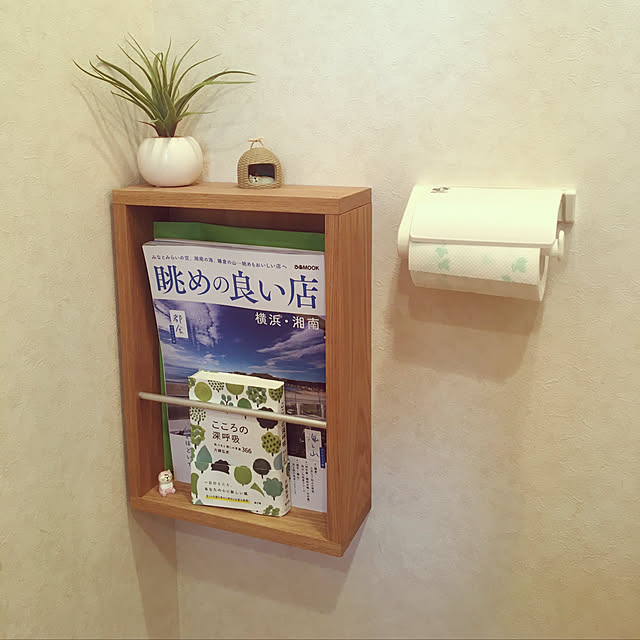 ナチュラル,ハンドメイド,マガジンラック,DIY,壁に取り付けられる棚,Bathroom,フェイクグリーン hanaの部屋