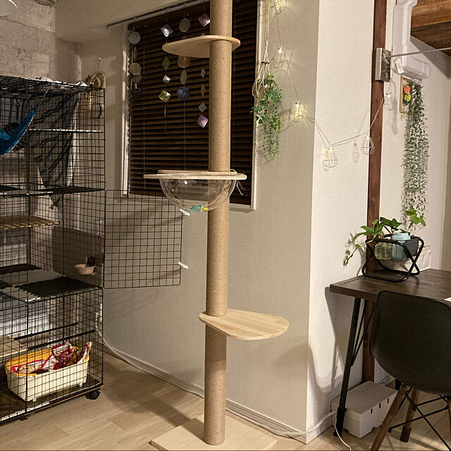キャットタワー,猫スペース,ねこと暮らす,Lounge m.chanの部屋