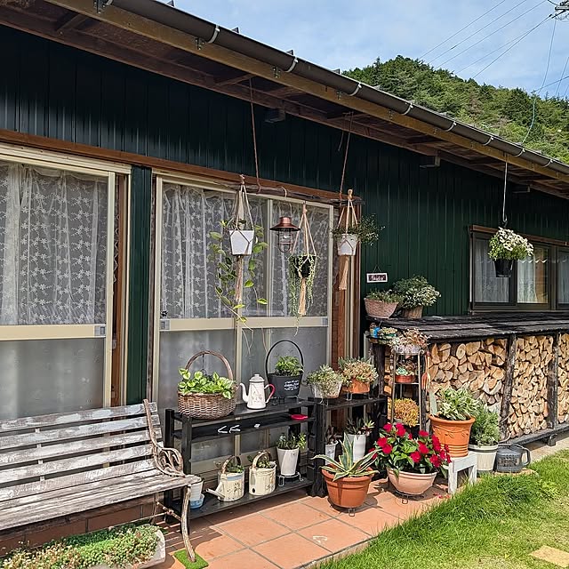 On Walls,観葉植物,リメイク,木の家,田舎暮らし,日本家屋,古民家風,観葉植物のある暮らし,築150年以上,DIY,枝物,流木ディスプレイ,ペンキ塗り替え,トタン外壁,フォレストグリーンの壁 naoの部屋