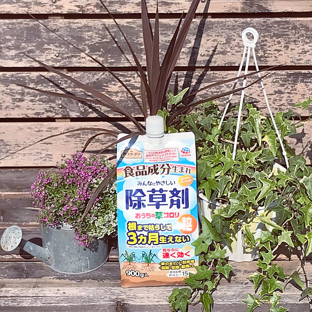 草コロリ,暮らしのハンドブック2023,アースガーデン,除草,植物のある暮らし,ガーデニング,花のある暮らし,ウッドデッキ,寄せ植え,ガーデン雑貨,フラワーアレンジメント,ガーデニング雑貨,ガーデニング初心者,庭,百均 tararaの部屋