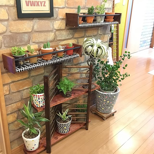 Lounge,モザイクタイル鉢,HASHIGOパーテーションシェルフ,フラワーボックスＤＩＹ,ハンドメイド,大人ファンタジー,cafe風,カフェ風,植物のある暮らし ANNAの部屋