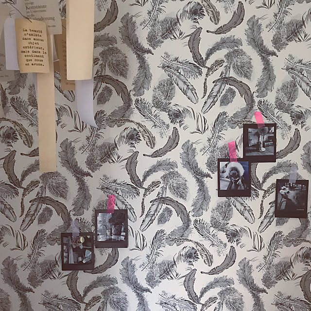 Bathroom,ペットと暮らす家,instax SHARE SP-3,instax SHARE・モニター,FUJIFILM,instax SHARE SP-3 モニター,スマホdeチェキ,加工写真,写真 Megumiの部屋