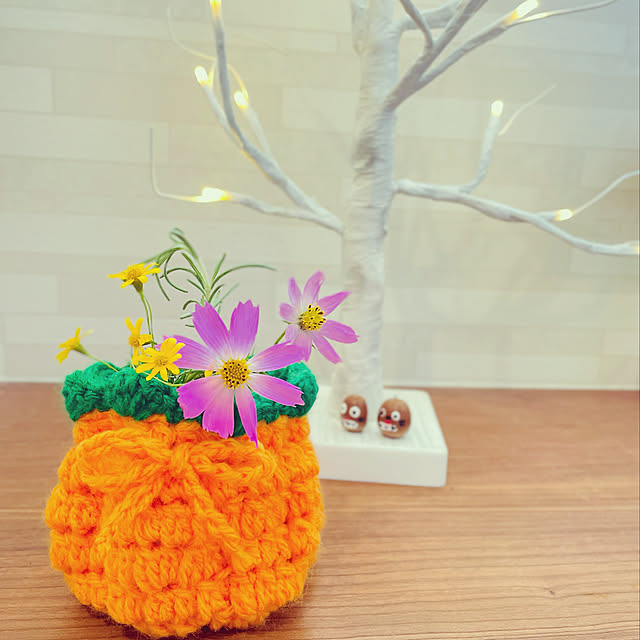 ハンドメイド,瓶カバー,編み物,ハロウィン,グリーン,植物のある暮らし,コスモス,ローズマリー,ダールベルグデイジー,My Shelf,ブランチツリー ayyuの部屋