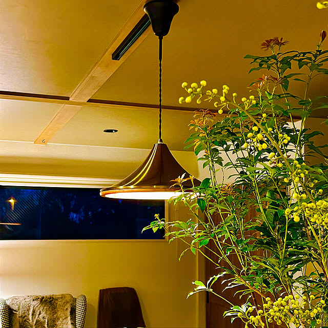 Kitchen,好きなものに囲まれて暮らす,２階リビング,unicoペンダントライト,unico,好きな眺め,間接照明,イベント参加,コメントお気遣いなくです⑅◡̈* roenの部屋