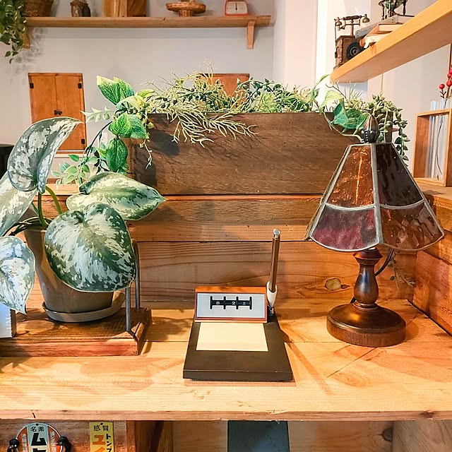 My Shelf,レトロ,卓上カレンダー,建売住宅,DIYのある暮らし,茶系インテリア,ブラウン,ステンドグラスランプ,観葉植物,スタンドライト,板張りの壁,ディスプレイ,昭和レトロ,メモスタンド,DailyRoomClip掲載,グリーンインテリア,ブラウンインテリア,りんご箱 AKiCHiの部屋