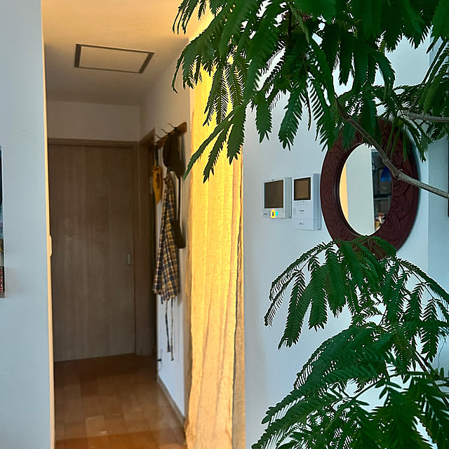 On Walls,リネン,ZARAHOME,冬支度 hatsugaの部屋