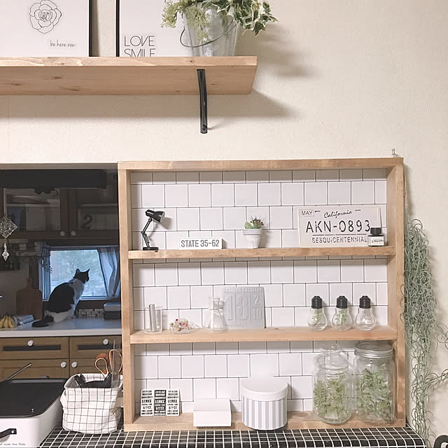 My Shelf,チェック柄,塩系インテリアに憧れる,カウンター下収納DIY,フェイクグリーン,セリアリメイクシート,ねこと暮らす。 mahi1101の部屋