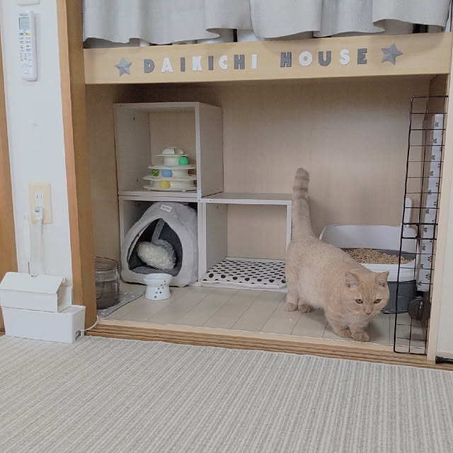 Overview,リメイクシート木目調,いつもいいねありがとうございます♡,ねこと暮らす,ダイソー,ナチュラル,モノトーン,DIY,100均,ホワイトインテリア,収納,押入れ,ペットケージ,短足マンチカン rilakkumamaの部屋