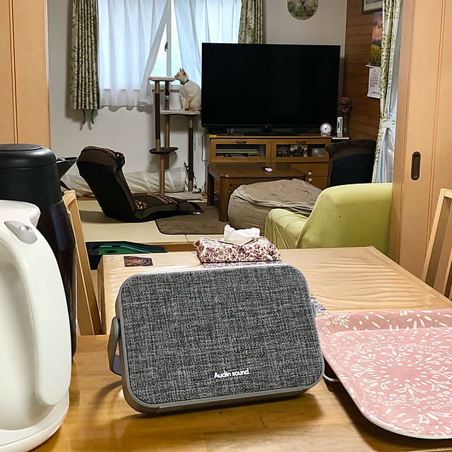 ねこのいる日常,キッチンカウンターの上に,テレビ用ワイヤレススピーカー,RoomClipショッピング,Kitchen,笹かま猫 milkの部屋