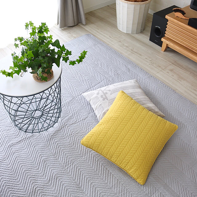 オッタイピイヌ,グレー,IKEA,サイドテーブル,クッションカバー,北欧インテリア,マルチカバー,ソファカバー,rugoo・モニター,Dフロア,北欧,チェスナット,キルティング,ブランシュ,細長い家,観葉植物,LIXIL,アイビー,Lounge miyukiの部屋