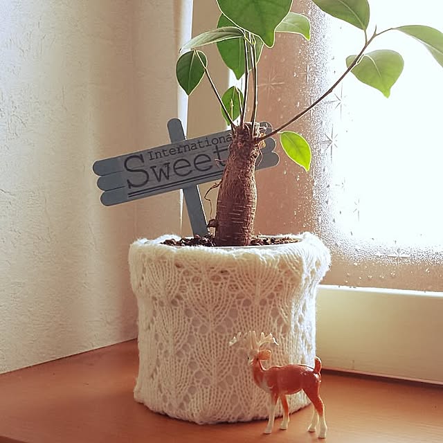 Bathroom,暖房,トイレ,植物,ハンドメイド,窓枠 confettoの部屋