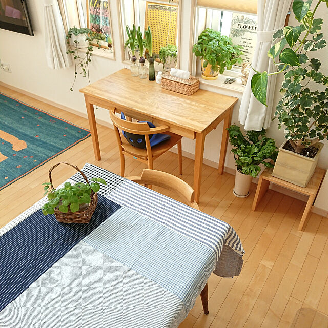 Overview,植物と暮らす,子供と暮らす,ダイニングテーブル,fog linen work,無印良品 nao525の部屋