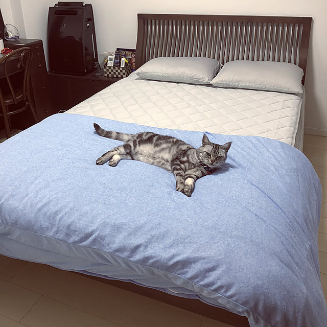 Bedroom,ベッドカバー,猫,マンション,ウォールナット家具 mutsuの部屋