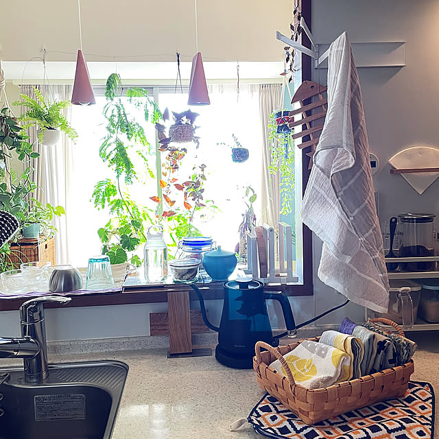 Kitchen,R6.2.8,キッチンクロス,イベント参加,観葉植物のある暮らし,好きな時間,観葉植物と暮らす miyamiyaの部屋
