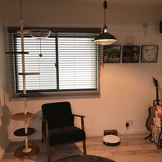 IKEA,ブラインド,猫のいる生活,キャットタワー,My Shelf punuyumiの部屋