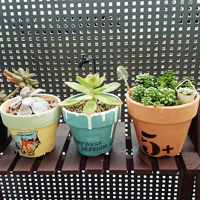 My Shelf,多肉植物,リメ鉢,ブライワックス,ミルクペイント,ステンシル,セリア Chihiroの部屋