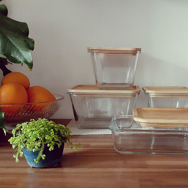 My Shelf,保存容器,IKEA,2021.5.9,シダ植物,豆鉢,耐熱容器（IKEA）,珪藻土の壁,セラギネラオーロラ hana-の部屋