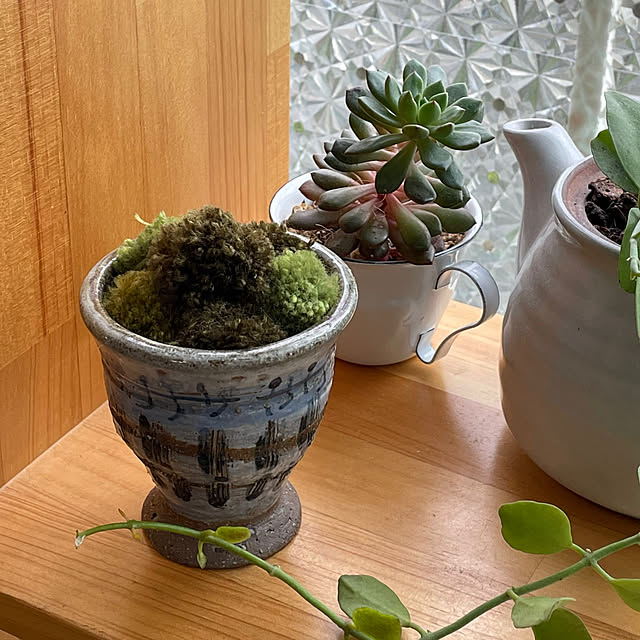 セリア雑貨,ハンドメイド,フェイクモス,フェイク苔,ハンドメイド 春,複数枚投稿,イベント参加,Overview,毛糸のポンポンでフェイク苔 nobikoの部屋