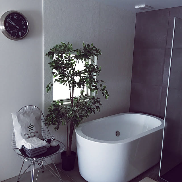 初投稿,セリア,モノトーン,ホワイトインテリア,無印良品,IKEA,100均,観葉植物,Bathroom ranrrrの部屋