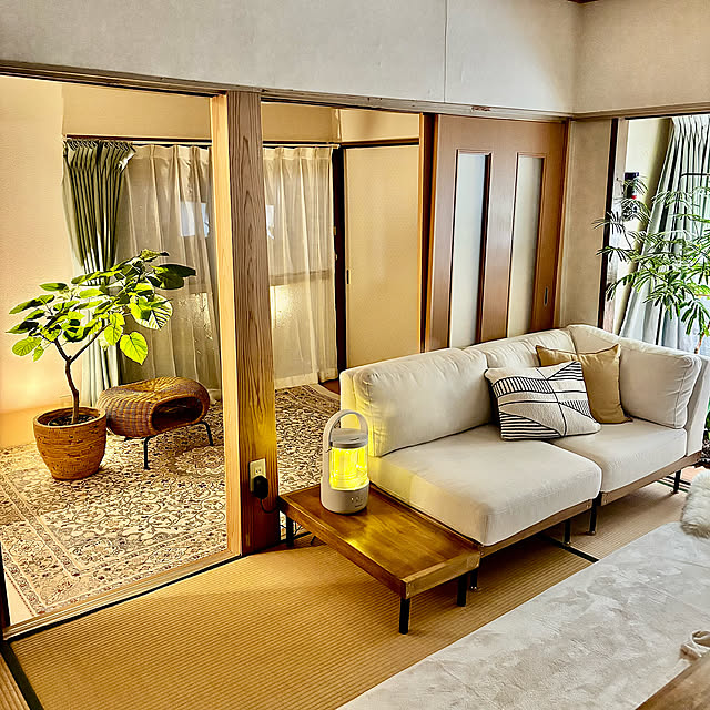 Lounge,癒し,冬,癒しの時間,エッセンシャルオイル,夜を楽しむインテリア,RHYTHM,Greenラブの会,くらしのリズムを整える,リズムアンバサダー,RHYTHMアンバサダー,第2期アンバサダー,リビング,加湿器,MIST250,加湿器MIST250,築100年（笑）,平家,diyばかり。 kyoko1124koの部屋