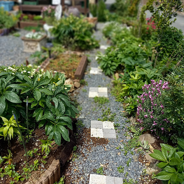 My Desk,趣味,お庭のある暮らし,お花のある暮らし,garden,ガーデニング,庭仕事,一から作った庭,ゆっくり暮らす,やすらぐ空間,幸せは楽しむ心に宿る,癒しの時間,ラベンダー anko44の部屋