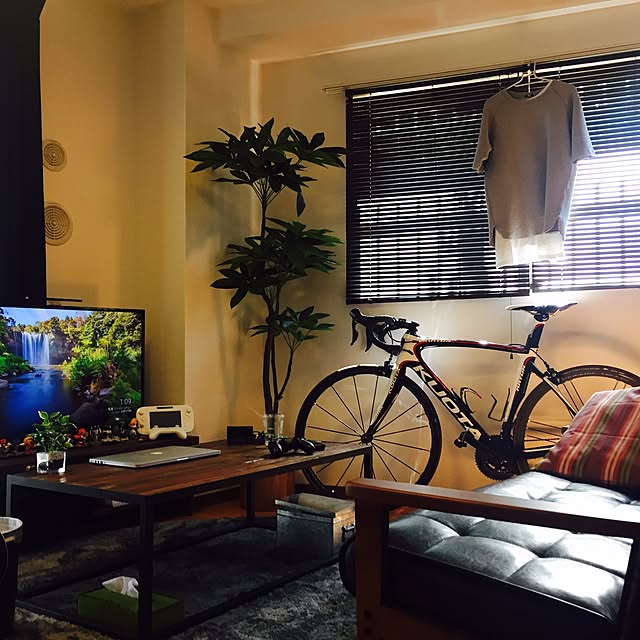 Overview,自転車,雑貨,観葉植物,フェイクグリーン,一人暮らし,男前,北欧,ニトリ,カフェ風,無印良品,ソファ ashの部屋