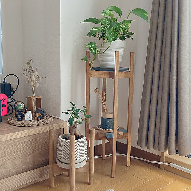 観葉植物のある暮らし,1K,ナチュラルインテリア,ひとり暮らし,ナチュラルカラー,ひとり暮らし 1K,一人暮らし,7.5畳,植物のある暮らし,ボタニカルインテリア,ドライフラワーのある暮らし,ドライフラワー,ポトス,Lounge gumiの部屋