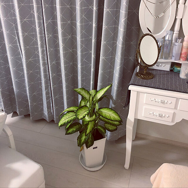 Bedroom,アンティーク,観葉植物 Annieの部屋