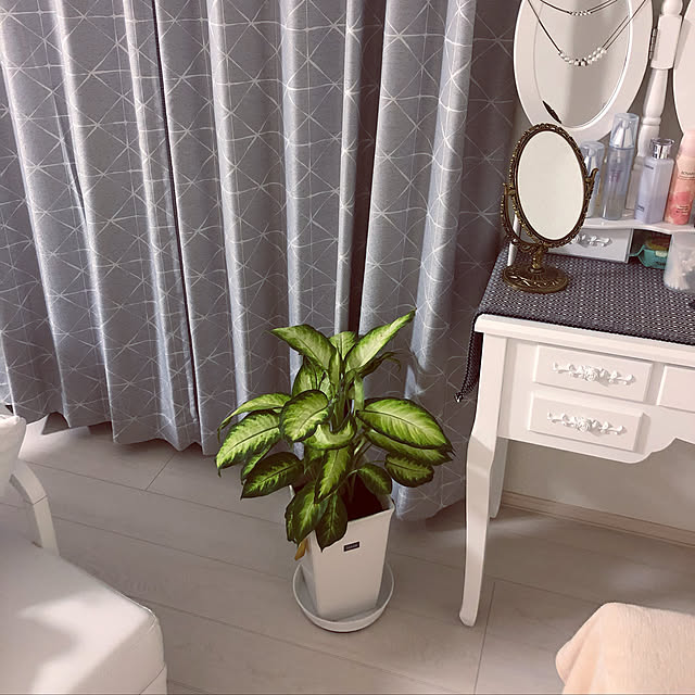 Bedroom,アンティーク,観葉植物 Annieの部屋