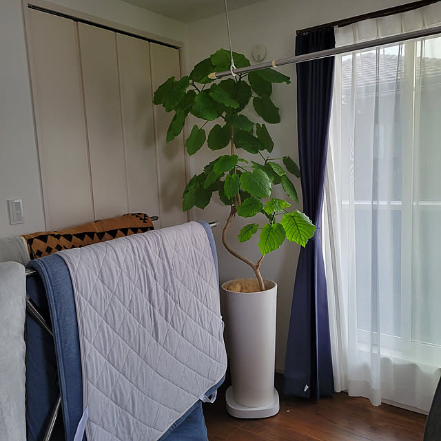 Overview,布団収納,布団干し,室内干し,アイリスオーヤマ,ウンベラータ,観葉植物,敷き布団派,ニトリの布団,ニトリの布団カバーセット,湿気対策,敷きパッド,敷き布団,掛け布団,観葉植物のある暮らし,ウォールナット,室内干しの場所,アイリス,布団干しスタンド,4枚干し,青いカーテン,寝室,寝室インテリア maruの部屋