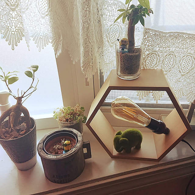 Lounge,ニトリ,テーブルランプ,アメリカンハウス,観葉植物 tropical_happy_lifeの部屋