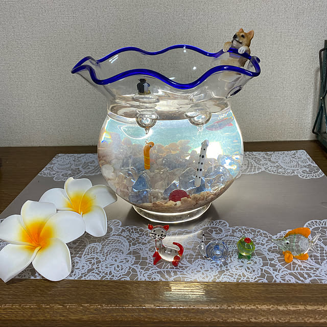 癒されます,大量の赤ちゃん,メダカ,プルメリア,金魚鉢,夏の模様替え,見ていただいてありがとうございます♡,フォローさんに、感謝です。,夏,いいね、フォロー本当に感謝デス☺︎,いいね押し逃げごめんなさい(>_<),Entrance,チンアナゴ chIoeの部屋