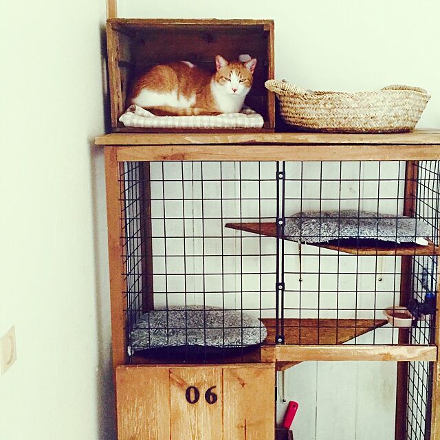 My Shelf,猫ゲージ,DIY Megumiの部屋