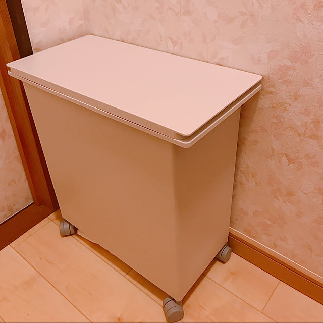 ゴミ箱,シンプルライフ,リフォーム前後,壁紙,サンゲツ,無印良品,Bathroom tyemiの部屋