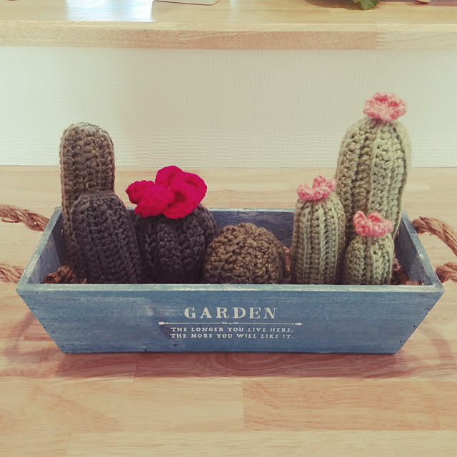 My Shelf,おうち時間,ハンドメイド,毛糸,鍵編み初心者,サボテン,ダイソー,寄せ植え haruharuの部屋