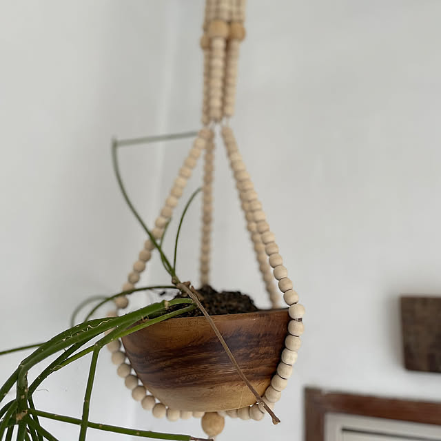 Entrance,リプサス,レース,リース 手作り,シェード手作り,無印良品,プラントハンガー,ハンドメイド夏,DIY,セリア,ホワイトインテリア,観葉植物,handmade,シャビーシック,アンティーク風,観葉植物のある暮らし Makoの部屋